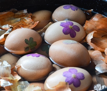 techniques for colouring easter eggs with spices