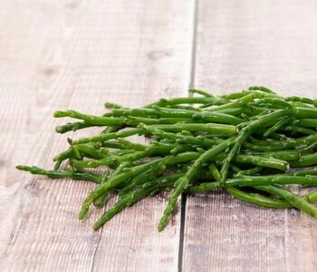 natural treasure: glassworts