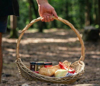 Picnic spices set