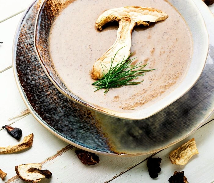 mushroom soup made from dried mushrooms